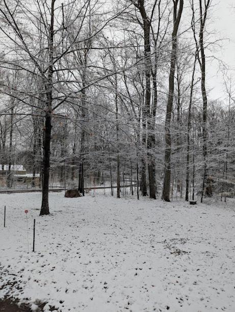 Quiet And Comfy 3Bed/2Bath - Chalet With Hot Tub. Cedar Exterior foto